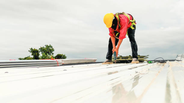 Best Roof Insulation Installation  in West Livingston, TX